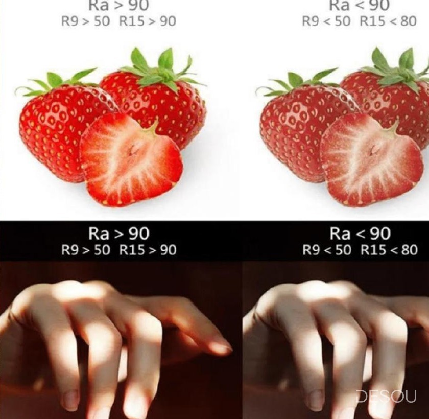 So sánh dâu tây và bàn tay dưới đèn đạt chuẩn Ra > 90, R9 > 50, R15 > 90 và đèn không đạt chuẩn
